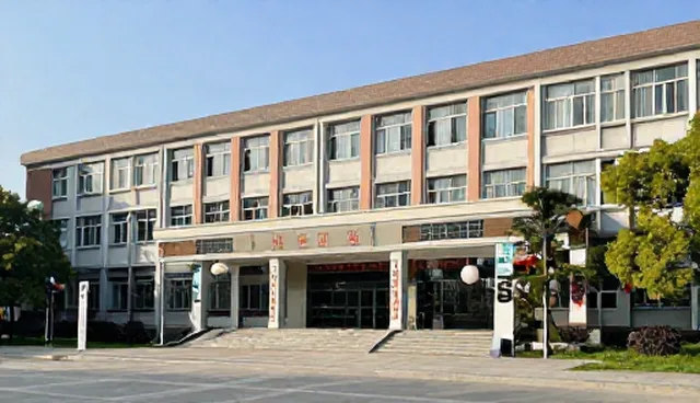 远程运维服务适用情况与限制分析